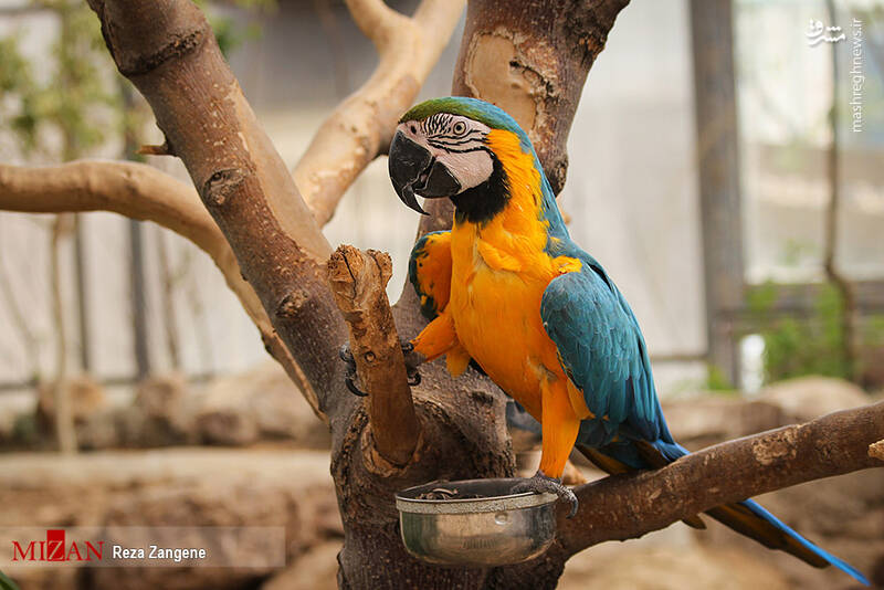 عکس/ گشتی در باغ پرندگان تهران