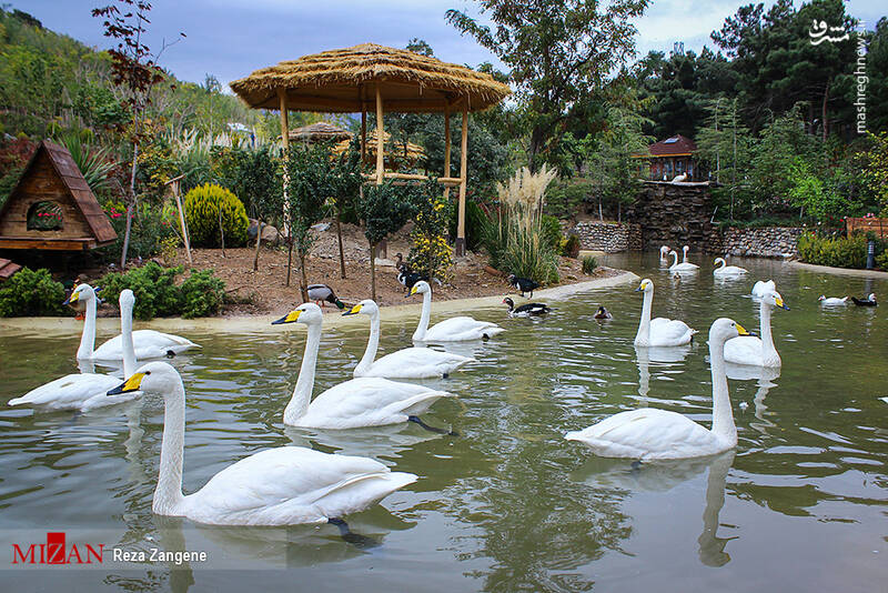 عکس/ گشتی در باغ پرندگان تهران