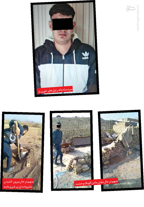 شکنجه و تعرض به زنان توسط رتیلهای خون ریز +عکس