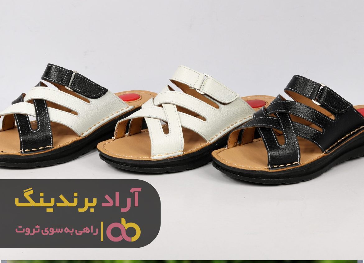 با انتخابی دقیق تیری بر وسط سیبل ثروت زدم