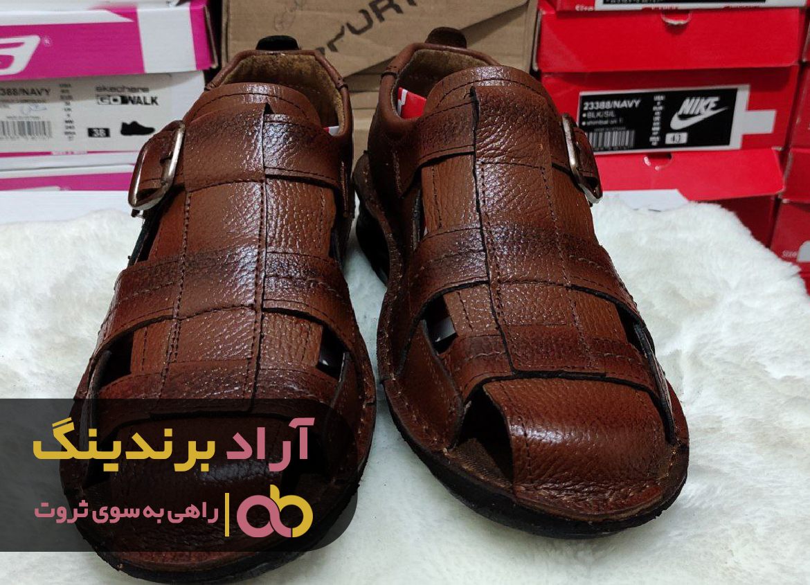 با انتخابی دقیق تیری بر وسط سیبل ثروت زدم