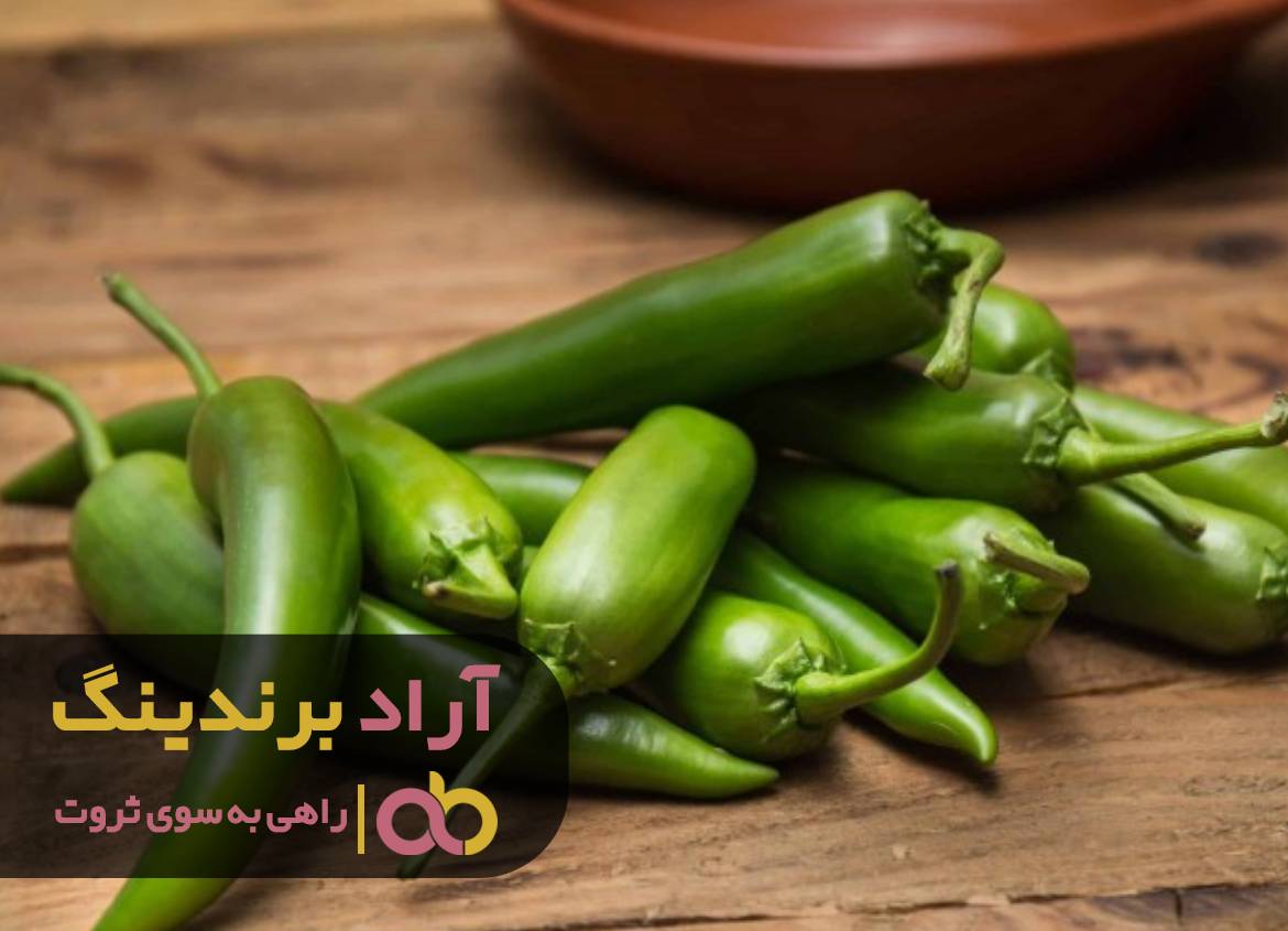 با فلفل فقر را تنبیه کردم و ثروتمند شدم