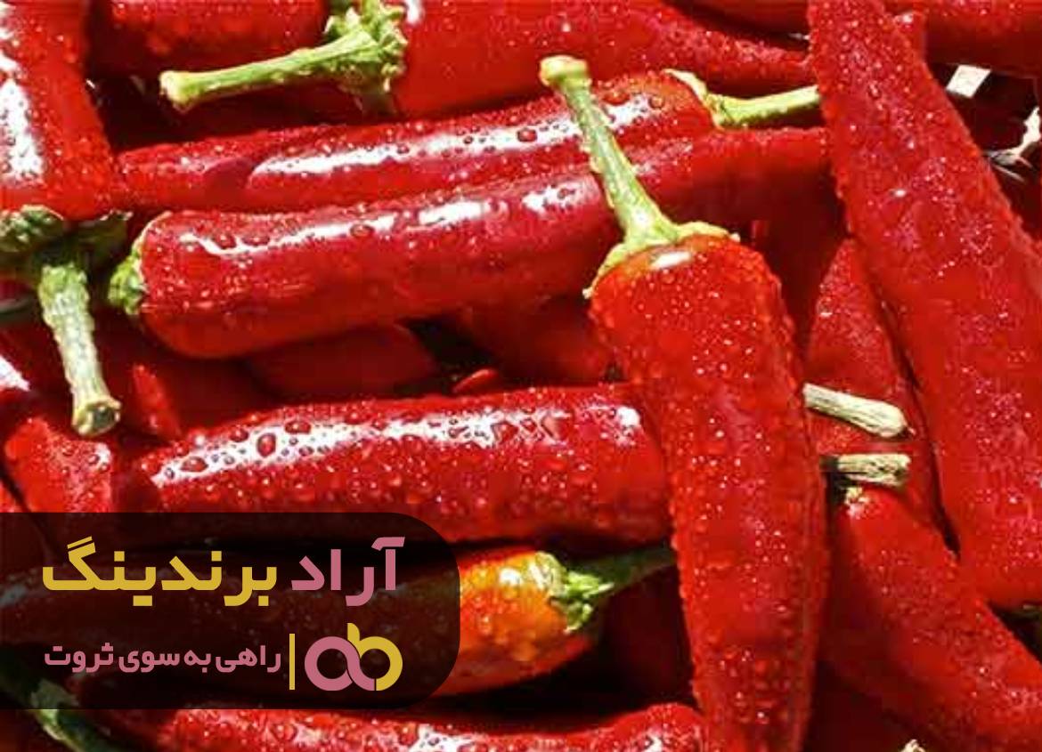 با فلفل فقر را تنبیه کردم و ثروتمند شدم