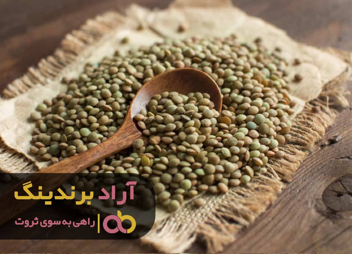 چطور با برنامه ریزی به ثروت دست یافتم