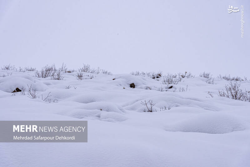 عکس/ طبیعت برفی کوهرنگ در اولین هفته زمستان