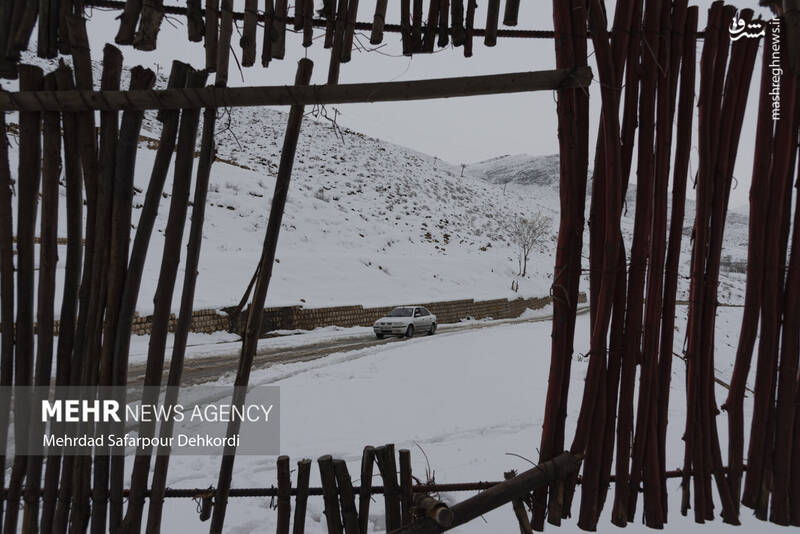 عکس/ طبیعت برفی کوهرنگ در اولین هفته زمستان