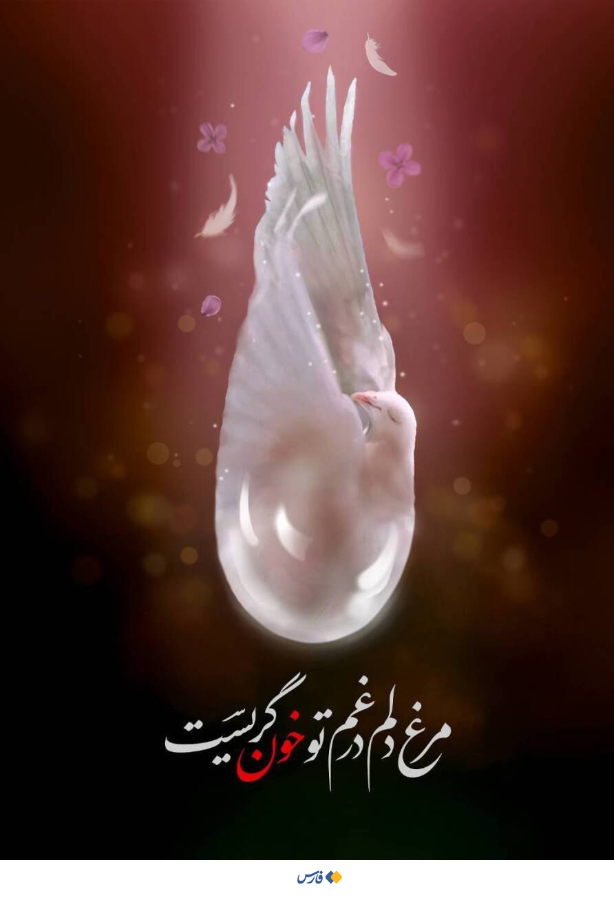 طرح/ مرغ دلم در غم تو خون گریست