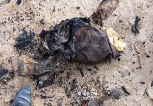 آخرین جزئیات از حادثه انفجار در معدن دامغان+ تصویر و اسامی جان‌باختگان