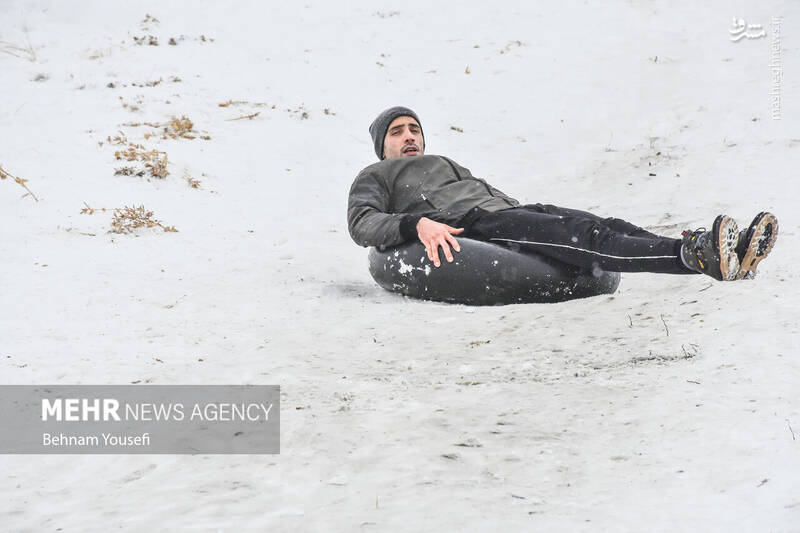 عکس/ تیوپ سواری اراکیها با اولین برف