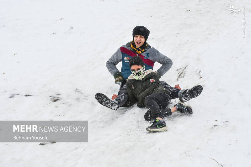 عکس/ تیوپ سواری اراکیها با اولین برف