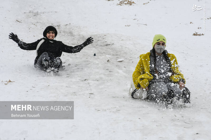 عکس/ تیوپ سواری اراکیها با اولین برف