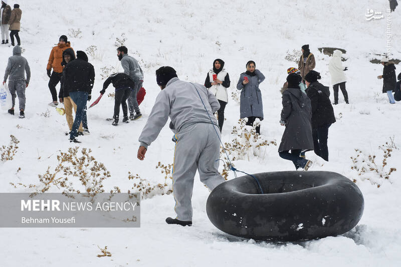 عکس/ تیوپ سواری اراکیها با اولین برف