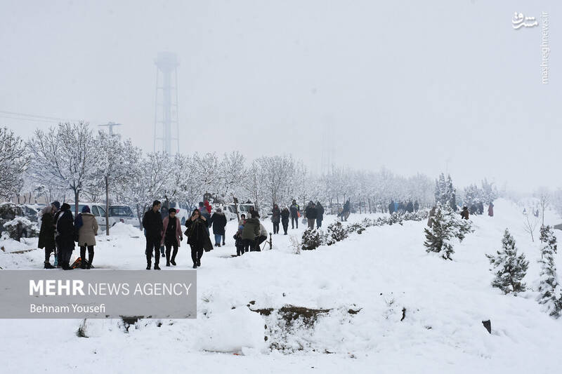 عکس/ تیوپ سواری اراکیها با اولین برف