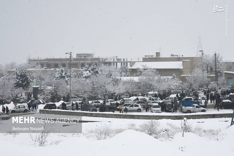 عکس/ تیوپ سواری اراکیها با اولین برف