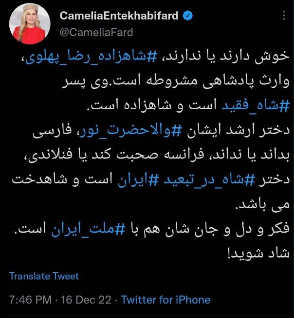 دعوای شدید حامیان براندازی در فضای مجازی +عکس