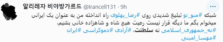 دعوای شدید حامیان براندازی در فضای مجازی +عکس