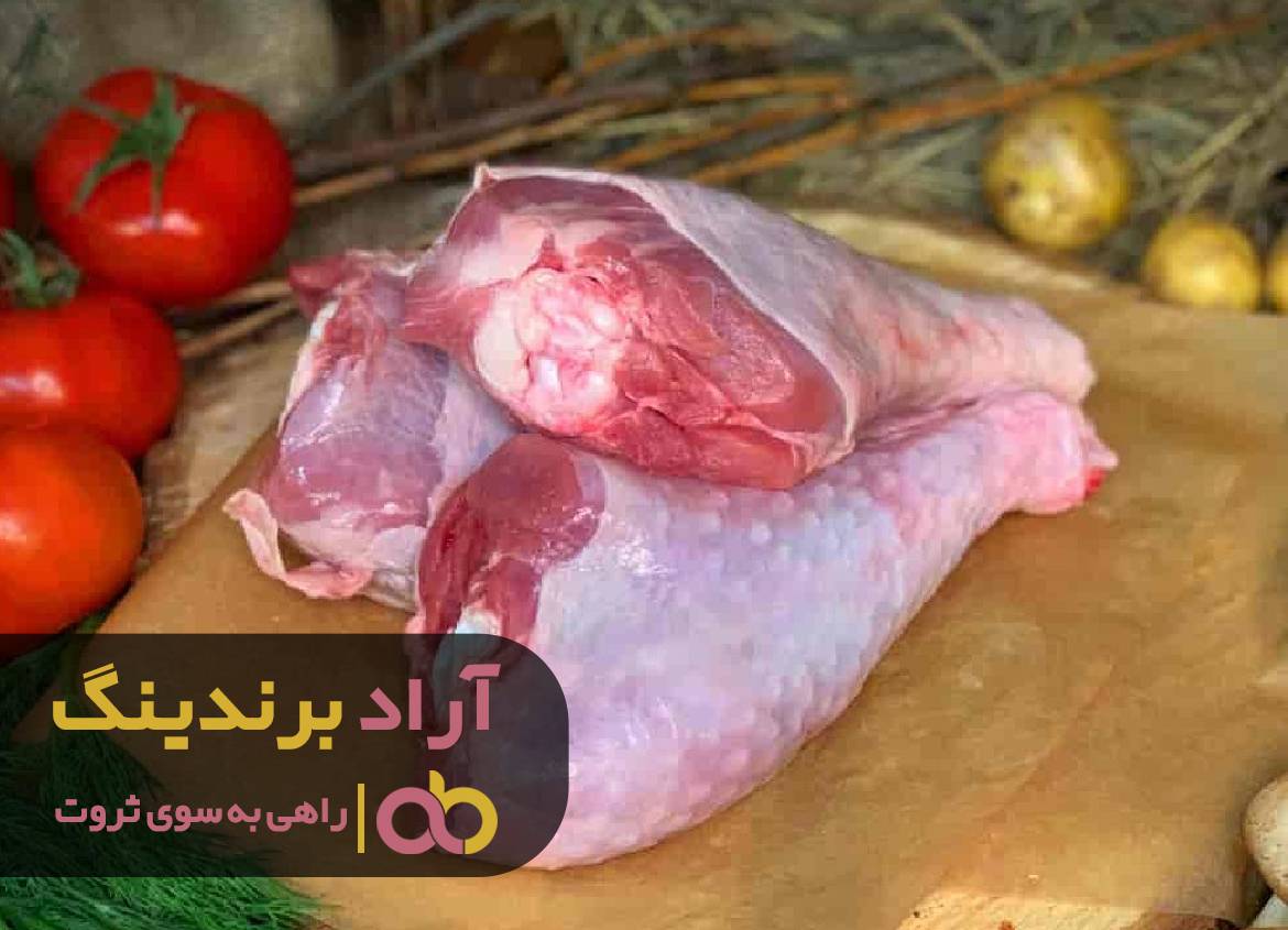 با گوشت بوقلمون ثروت را برای خود سرو کردم