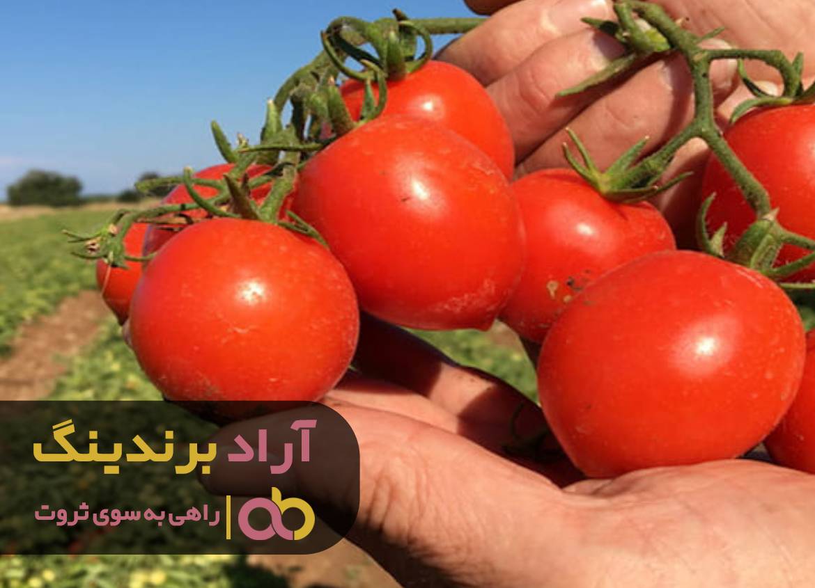 فقری که با گوجه از بین بردم