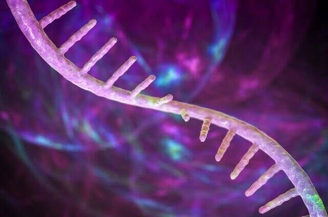 مهمترین کشفیات پزشکی سال ۲۰۲۲ چه بود؟