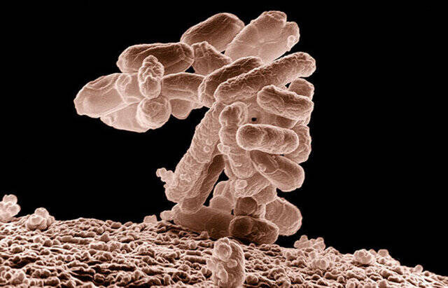 مهمترین کشفیات پزشکی سال ۲۰۲۲ چه بود؟