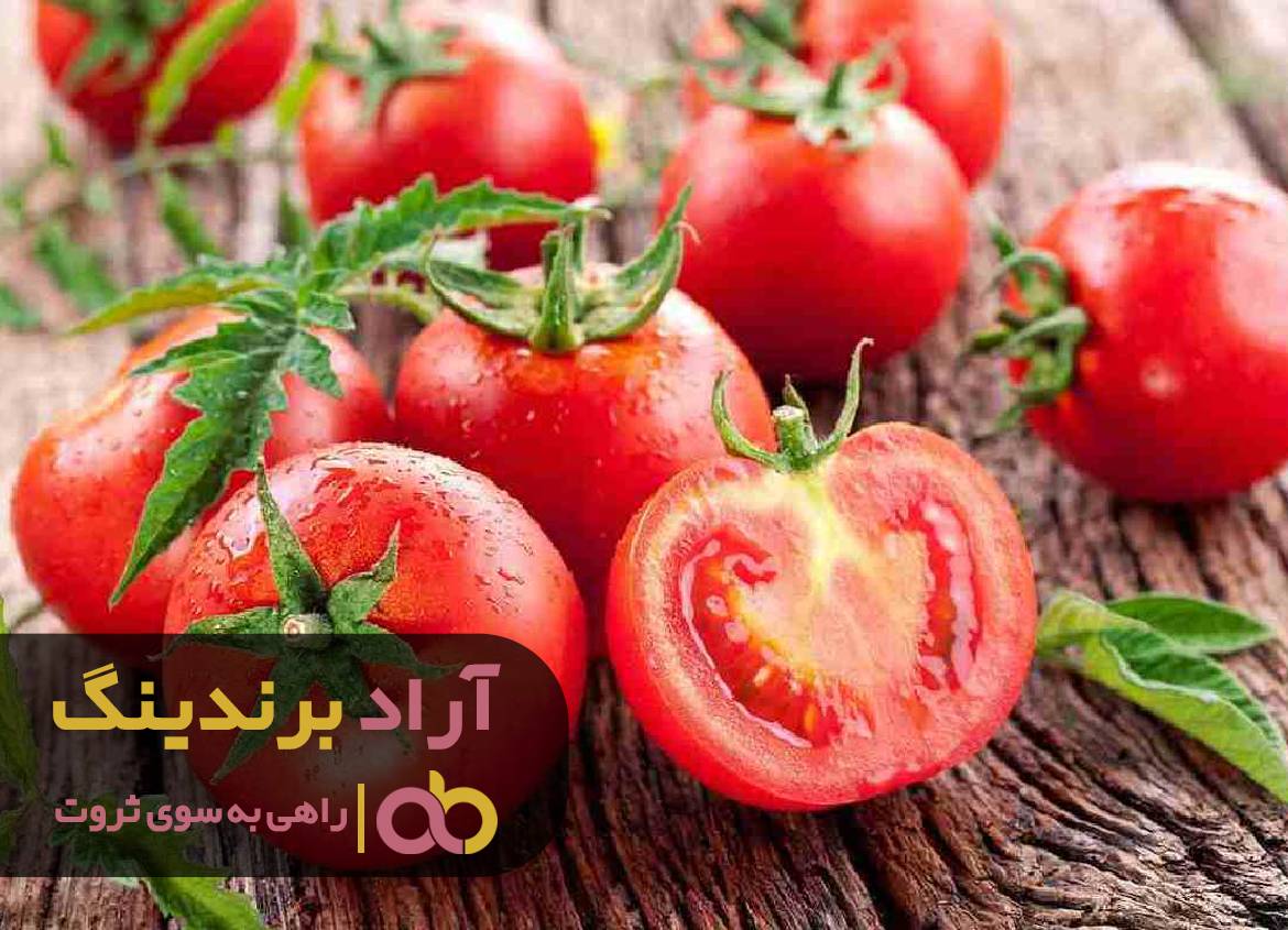 با کشتی دنیای ثروت را فتح کردم