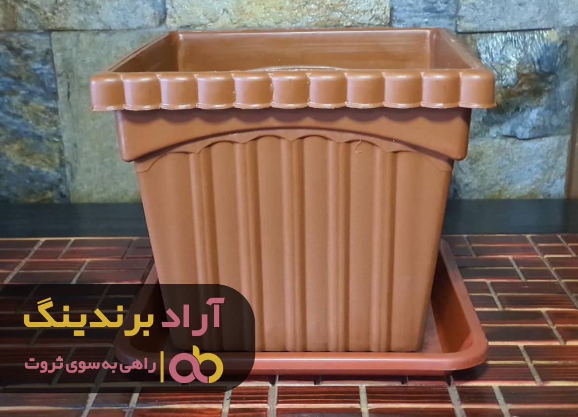 با نترسیدن از مشکلاتم ثروتمند شدم