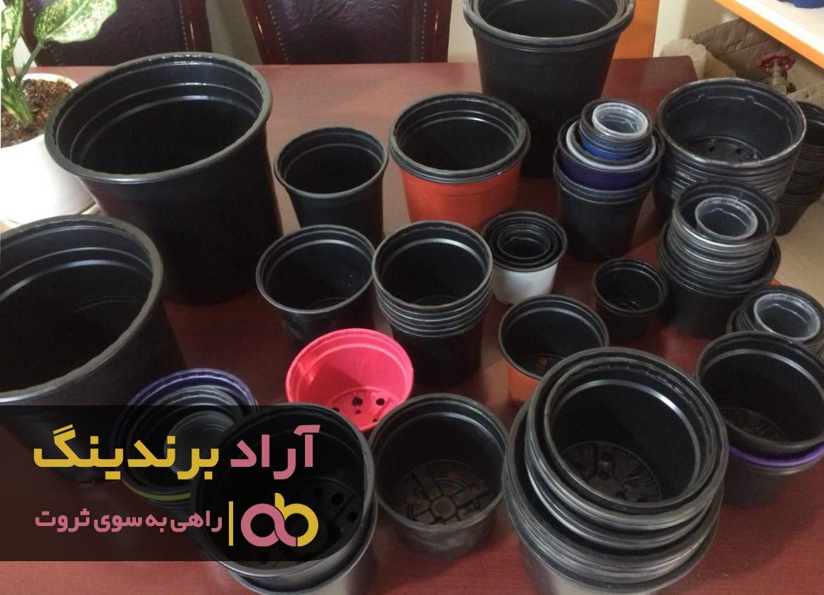 با نترسیدن از مشکلاتم ثروتمند شدم