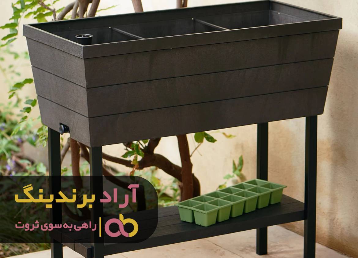 با نترسیدن از مشکلاتم ثروتمند شدم