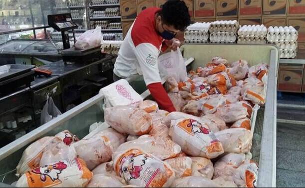مرغ،قيمت،مرغداران،هزارتومان،صادرات،مرغدار،خريد