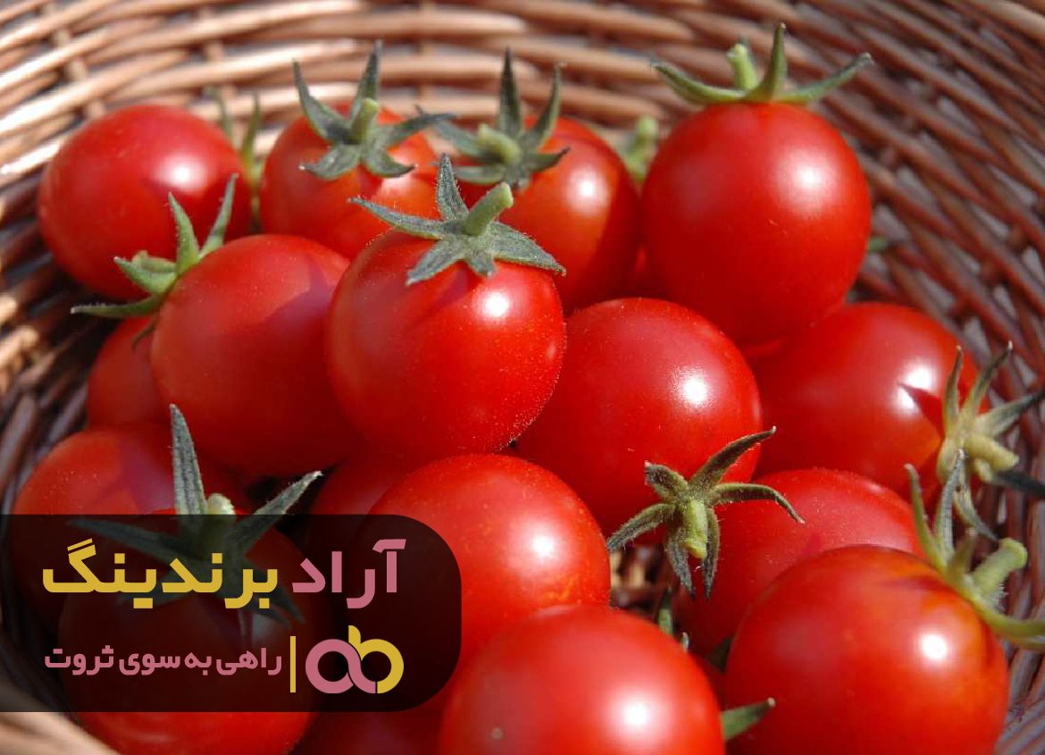 با فراگیری روش های مدیریتی توانستم بر ثروت مسلط شوم