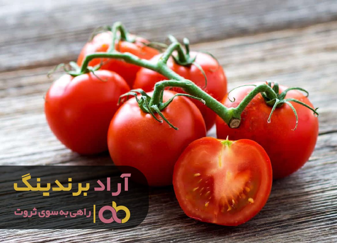 با فراگیری روش های مدیریتی توانستم بر ثروت مسلط شوم