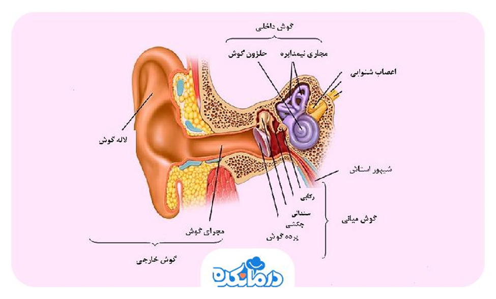 کم شنوایی انتقالی (هدایتی)، علت، علائم و راه‌کارهای درمانی آن