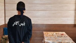 سرقت میلیاردی با آبمیوههای بیهوشکننده