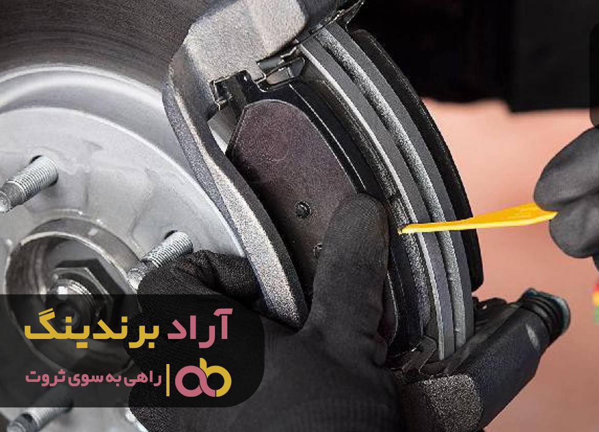 استقبال از روش های جدید مرا روز به روز ثروتمند تر می کند