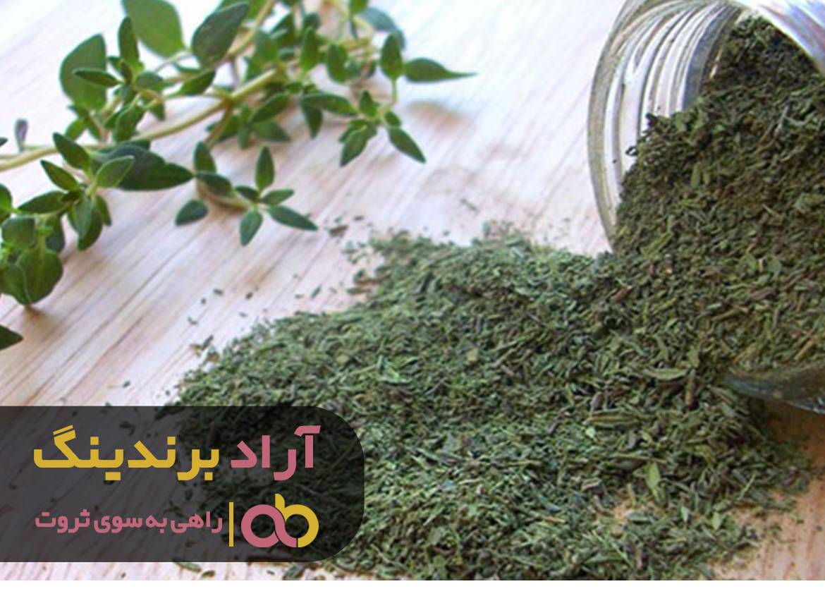 با یک گام ساده به ثروت رسیدم