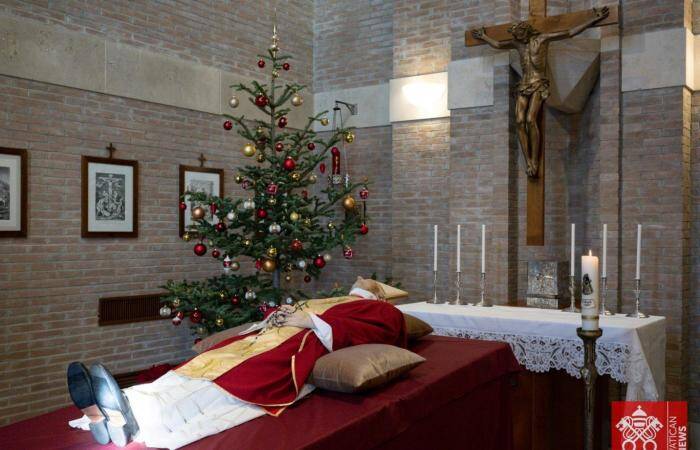 از عضویت در جوانان هیتلری تا توهین به پیامبر اسلام(ص) /مرگ پاپ همراه با کارنامهای سیاه از رسوایی «تجاوز جنسی» کشیشان به کودکان +عکس