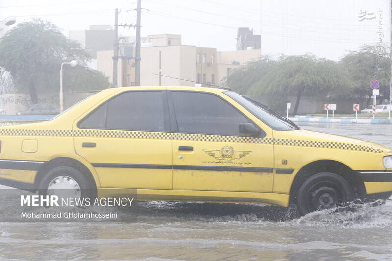 عکس/ بارش شدید  در بوشهر