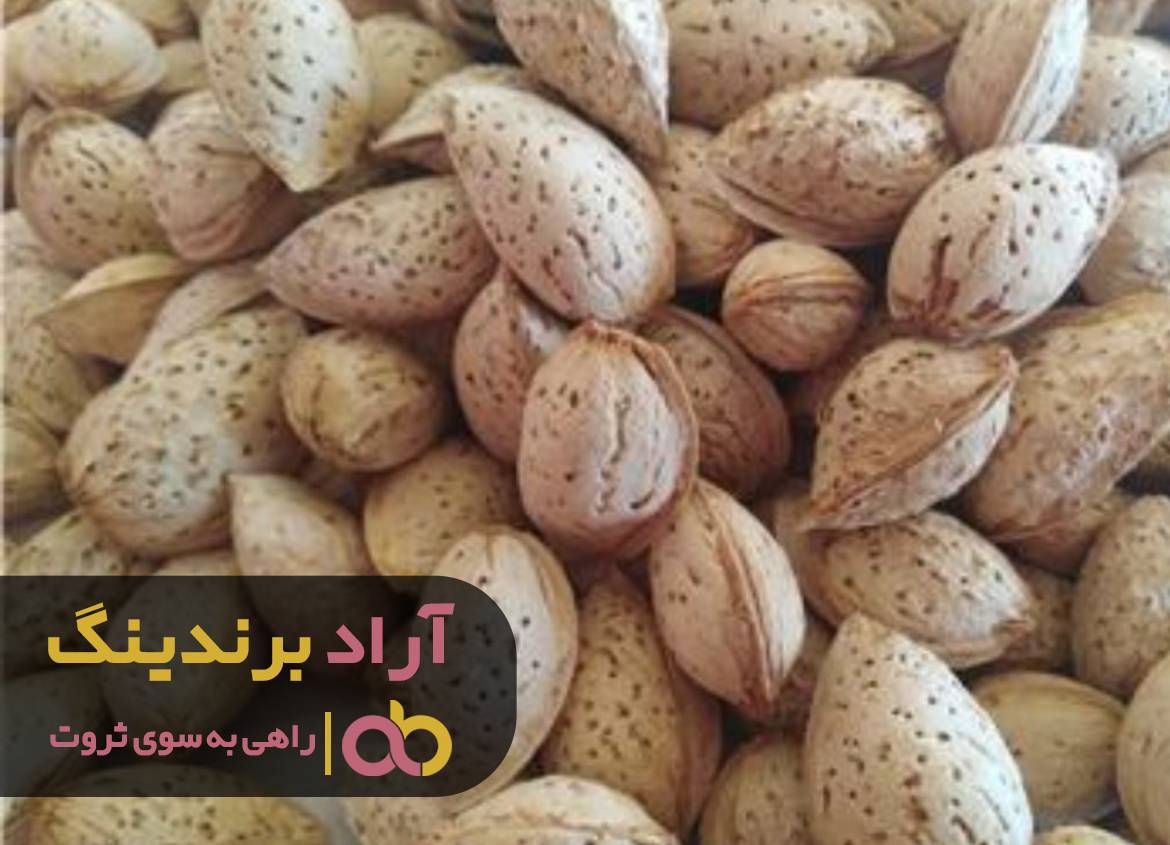 به آسانی ثروت را وارد زندگی کردم