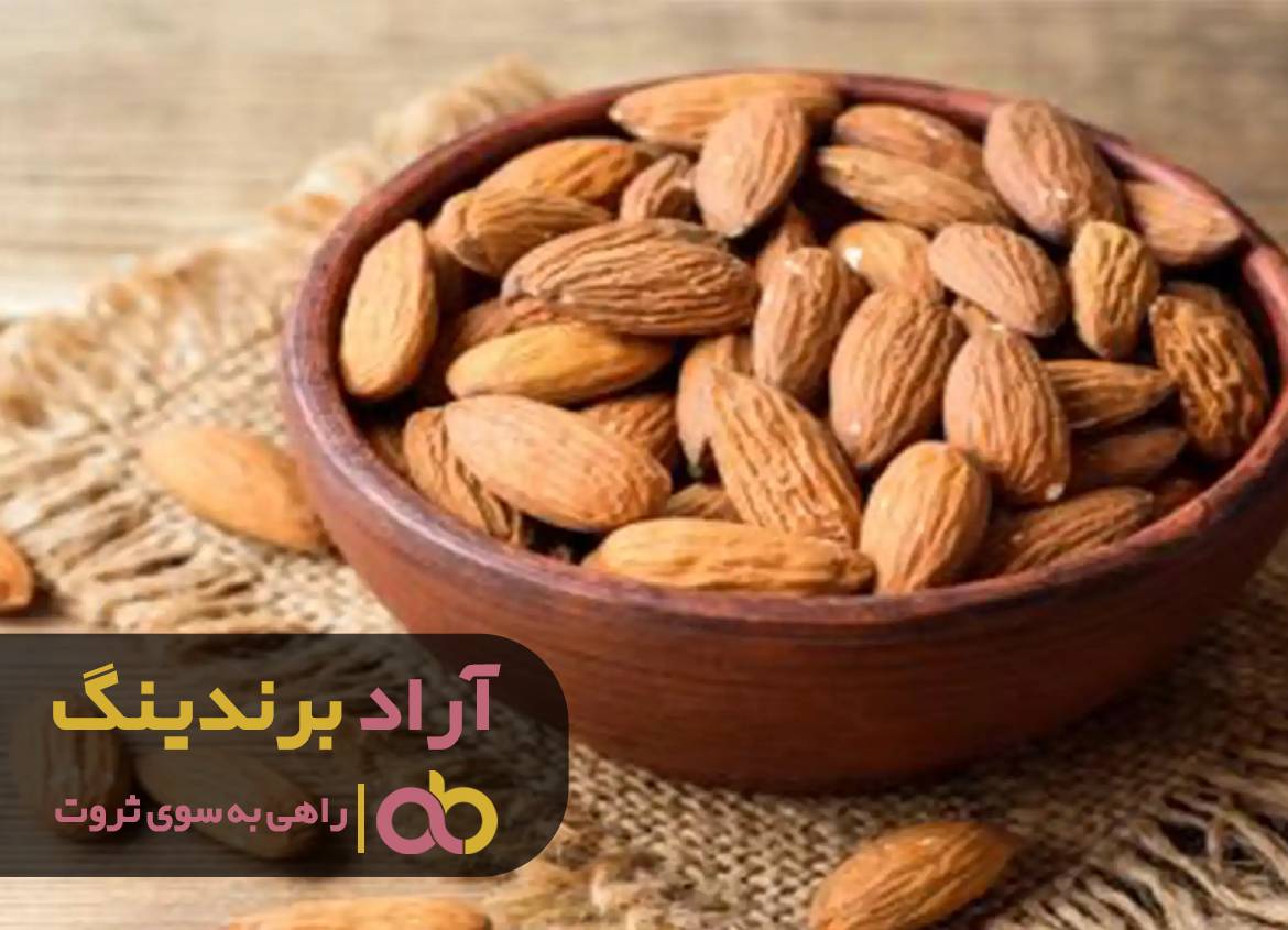 به آسانی ثروت را وارد زندگی کردم