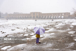 مراکز آموزشی و ادارات اصفهان چهارشنبه و پنجشنبه تعطیل شدند