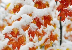 تهرانی ها منتظر هوای برفی باشند هواشناسی ایران ۱۴۰۱/۱۰/۲۱؛ بارش برف و باران در ۱۴ استان/هشدار کولاک و یخبندان در ۸ استان