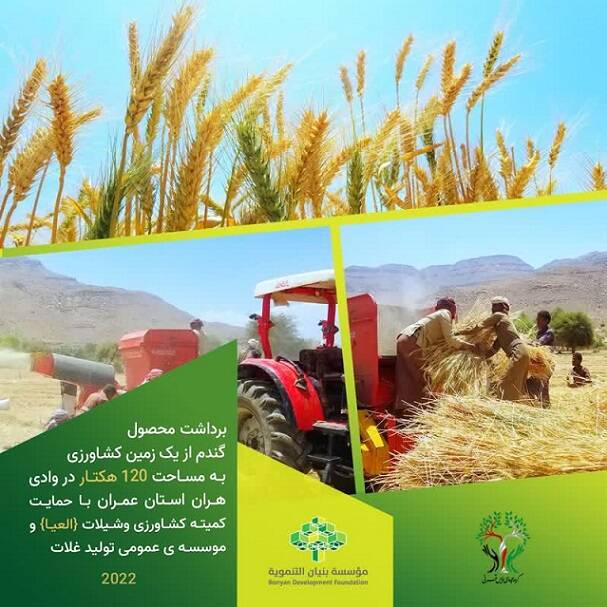 از نانواییهای زیرزمینی در یمن چه میدانید؟+ عکس و فیلم