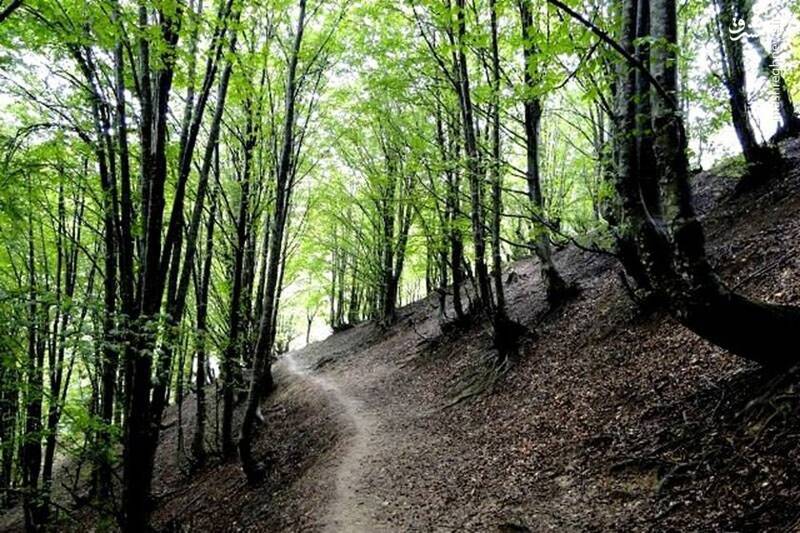 عکس/ کوربار ییلاقی نزدیک ماسوله