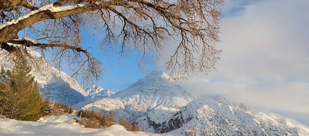 سیسخت زیباتر از همیشه +عکس و فیلم