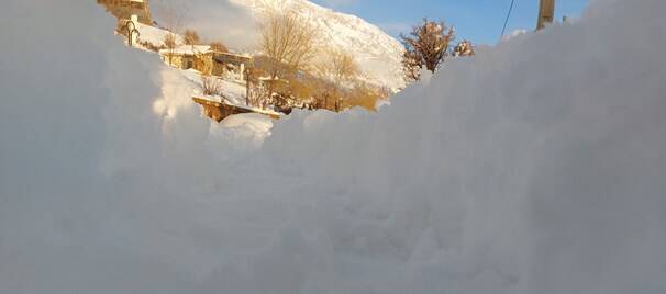 سیسخت زیباتر از همیشه +عکس و فیلم