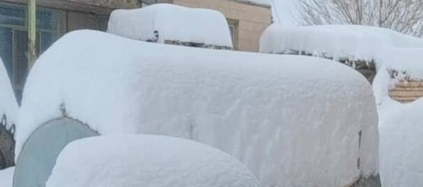 سیسخت زیباتر از همیشه +عکس و فیلم