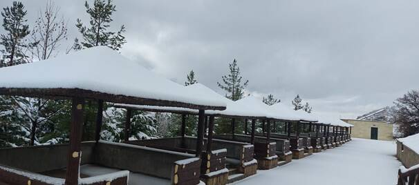 سیسخت زیباتر از همیشه +عکس و فیلم