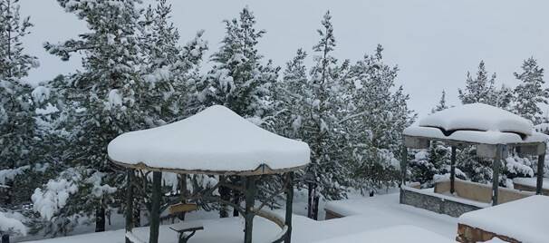 سیسخت زیباتر از همیشه +عکس و فیلم