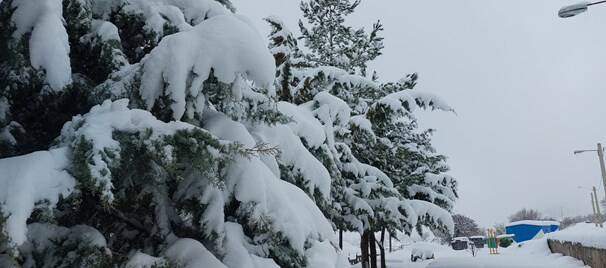 سیسخت زیباتر از همیشه +عکس و فیلم