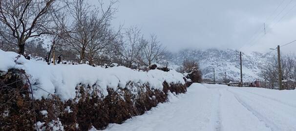 سیسخت زیباتر از همیشه +عکس و فیلم